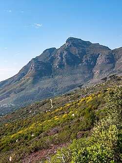 Devil's Peak, Cape Town